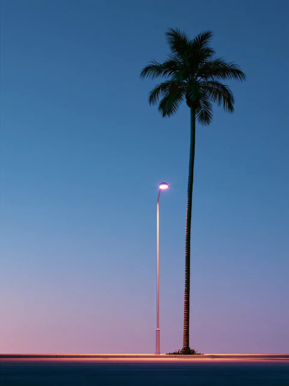 PALM posteri